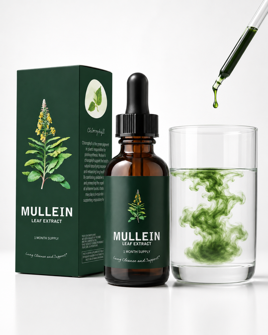 Mullein Leaf Tincture – Mullein Drops for Respiratory Wellness